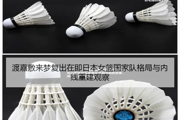 渡嘉敷来梦复出在即日本女篮国家队格局与内线重建观察